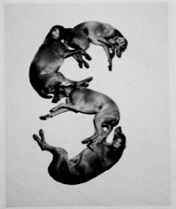 Image description is not available for 2001.077